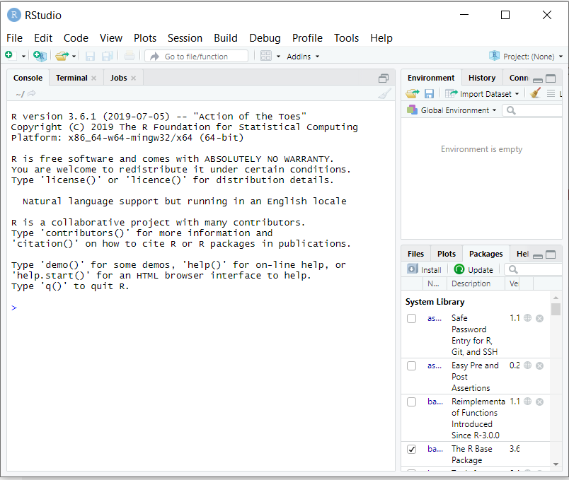 Screenshot of R Studio